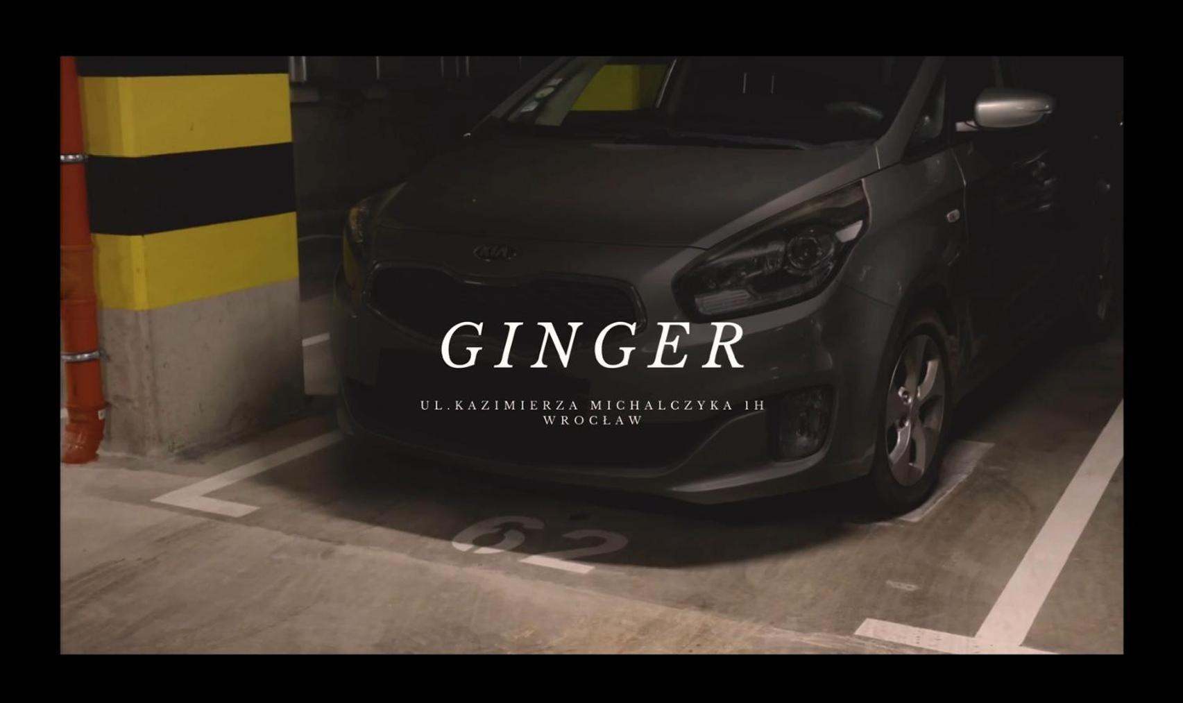 Apartament Ginger - Stare Miasto - Bezplatny Parking - Youtube Apartament Ginger We Wroclawiu Exterior photo